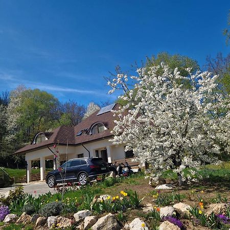 Provence Suceava Otel Dış mekan fotoğraf
