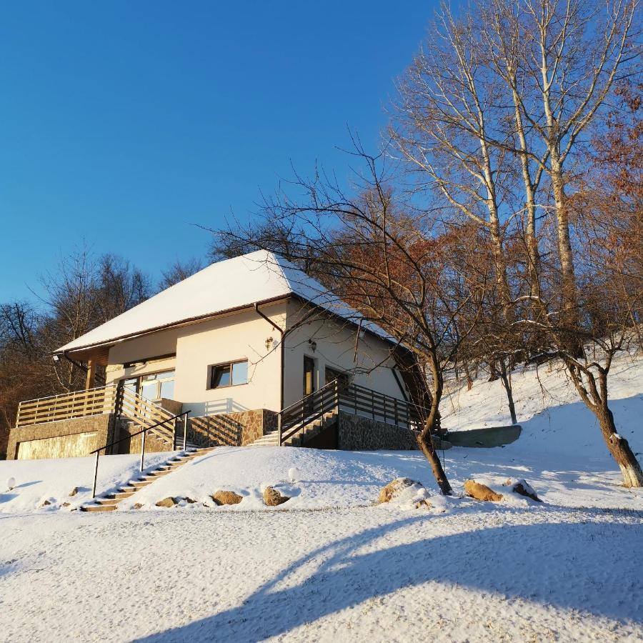 Provence Suceava Otel Dış mekan fotoğraf