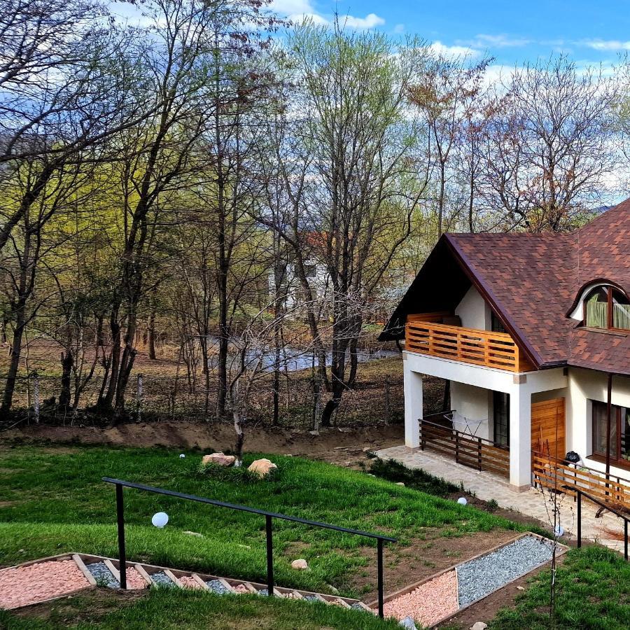 Provence Suceava Otel Dış mekan fotoğraf