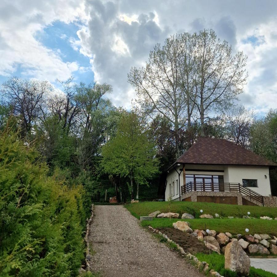 Provence Suceava Otel Dış mekan fotoğraf