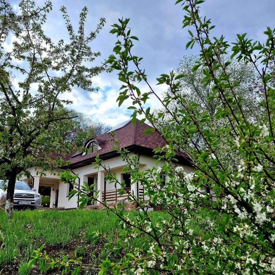 Provence Suceava Otel Dış mekan fotoğraf