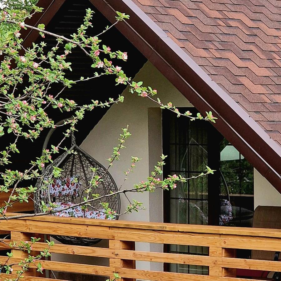 Provence Suceava Otel Dış mekan fotoğraf