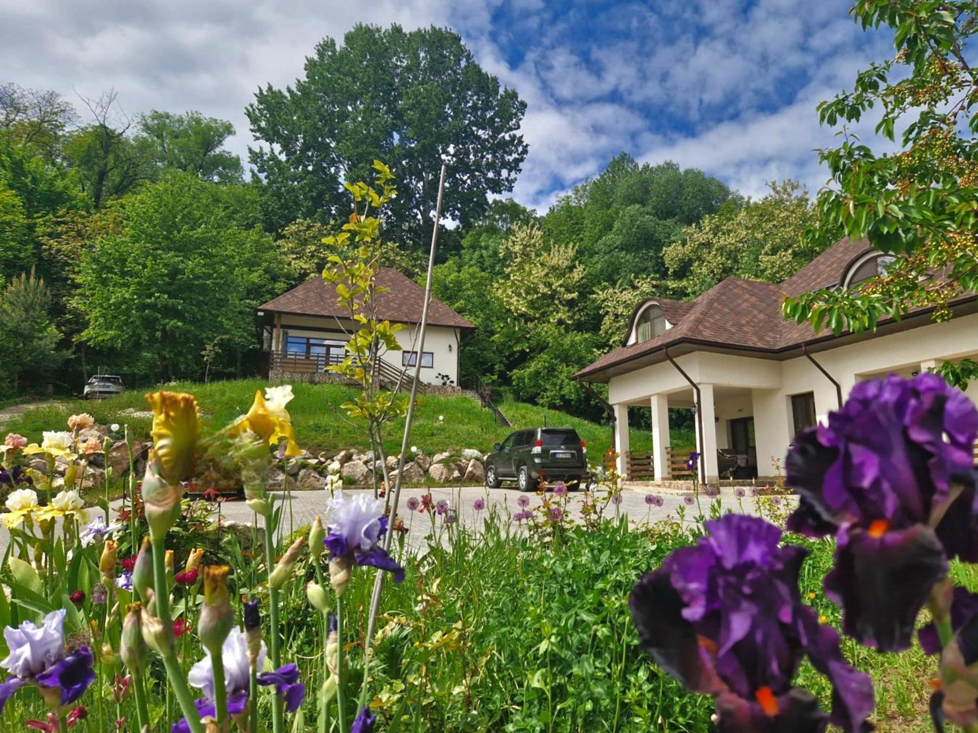 Provence Suceava Otel Dış mekan fotoğraf