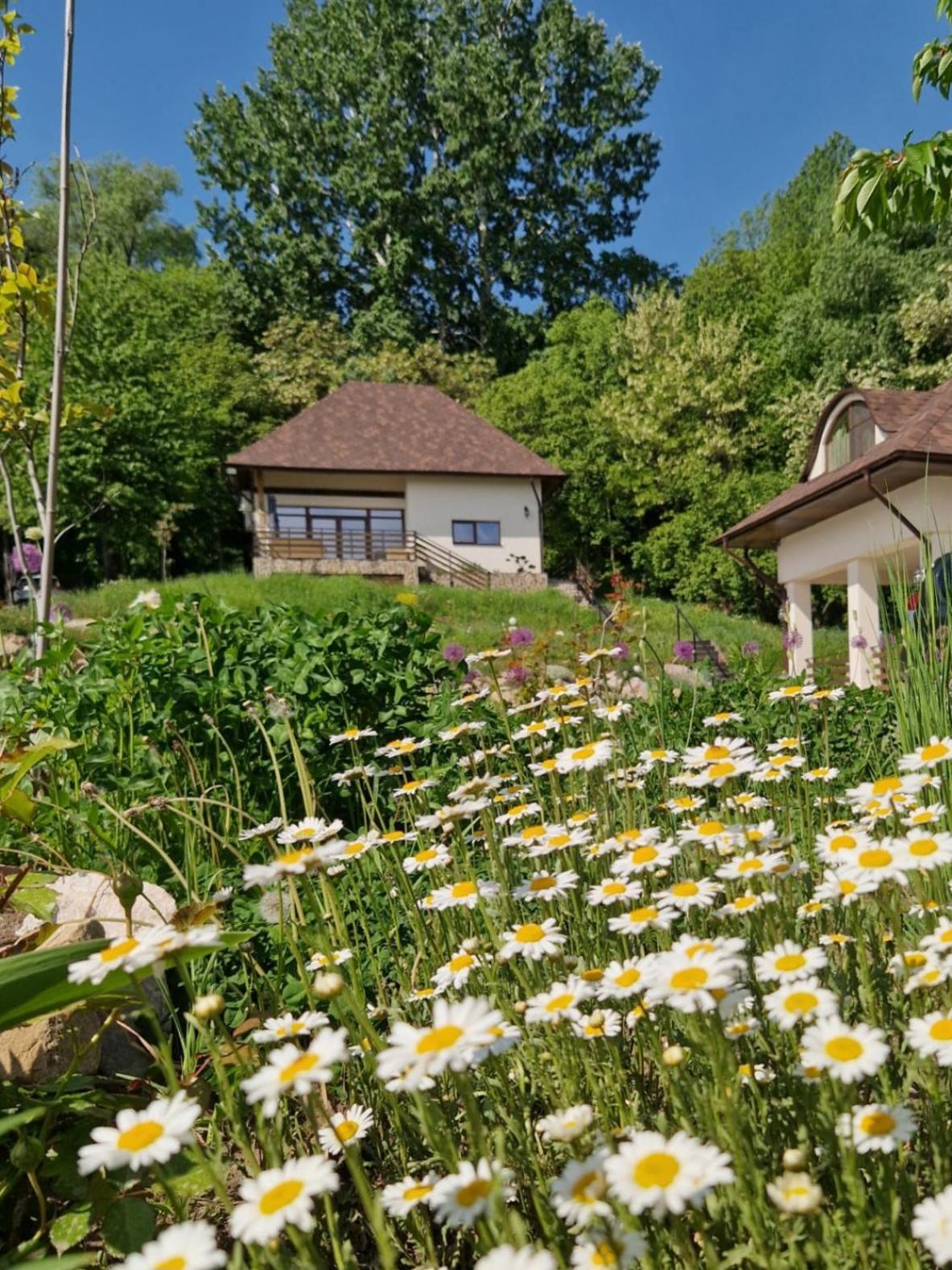 Provence Suceava Otel Dış mekan fotoğraf